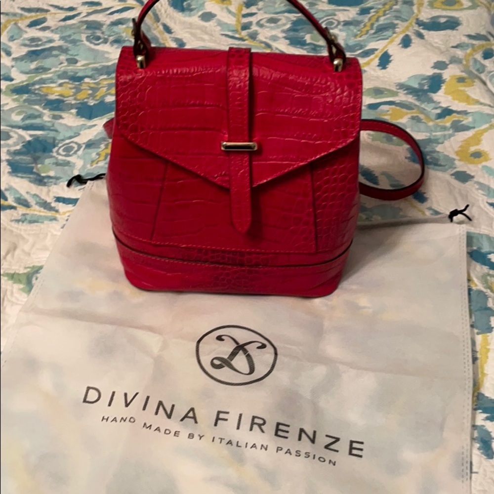 Backpack/purse